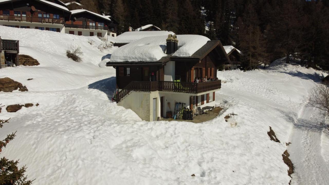 Chalet Foresta Bettmeralp Exterior foto
