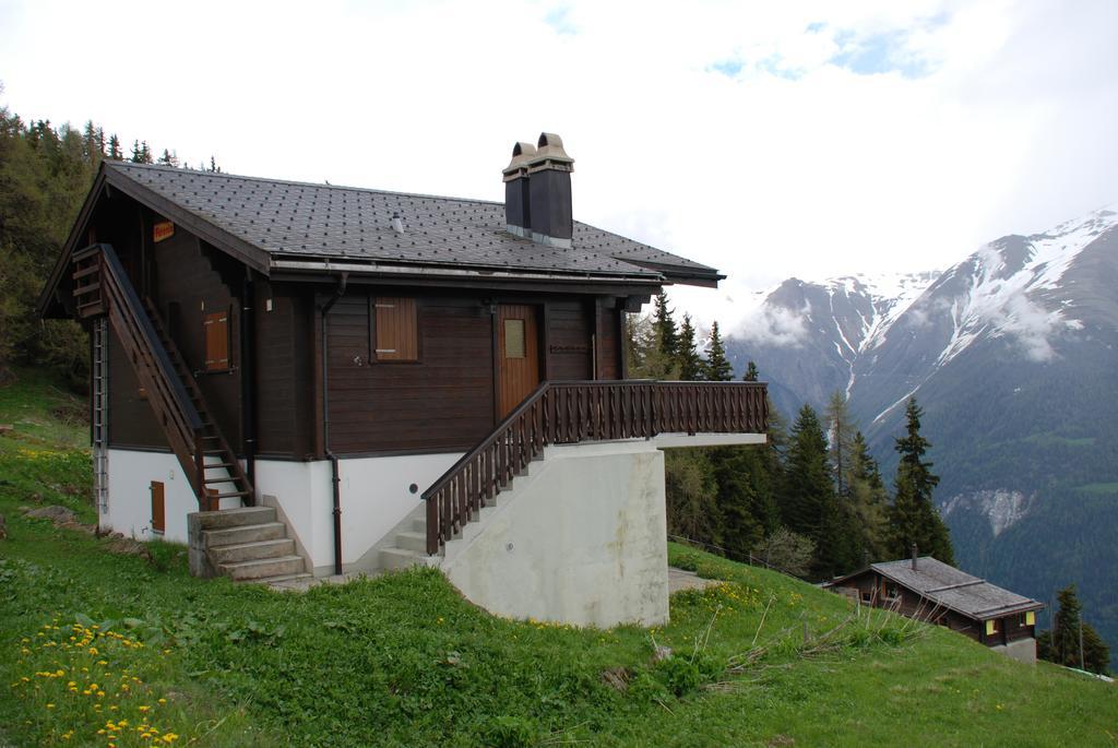 Chalet Foresta Bettmeralp Exterior foto